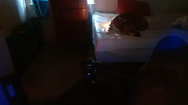 DADDY KANE8--- online show from 17, 1, 2026