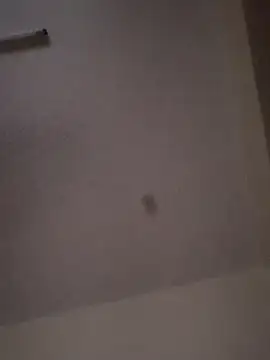 queen  ebony online show from 16, 2, 2025