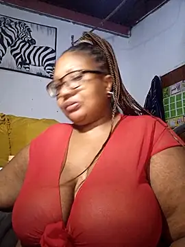 YELLOW BONE online show from 14, 4, 2026