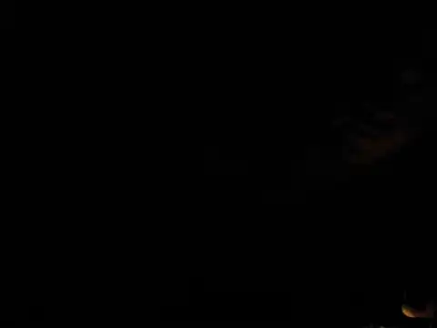 paulblack21 online show from 19, 5, 2026