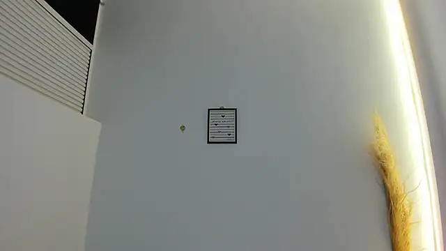 emma woods  online show from 9, 11, 2025