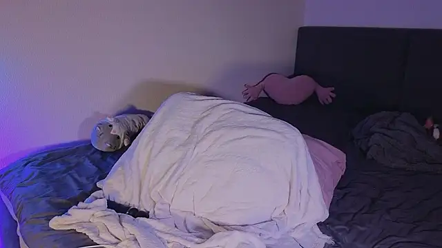 shey1i online show from 11, 2, 2026