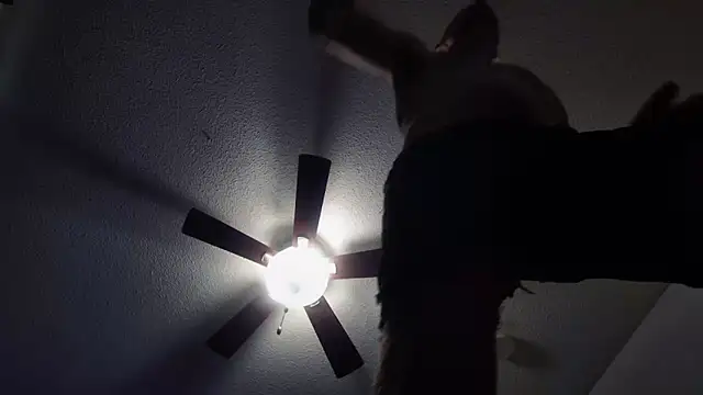 BDDuncanAbaddon online show from 19, 10, 2025