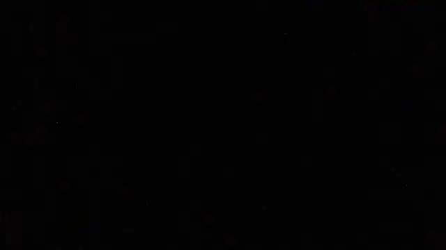 Pup Rush online show from 12, 9, 2025