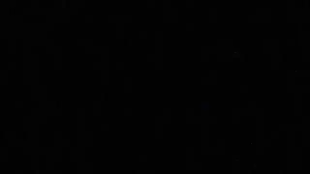 Pup Rush online show from 21, 9, 2025