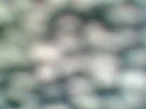 Helennahot online show from 21, 4, 2026