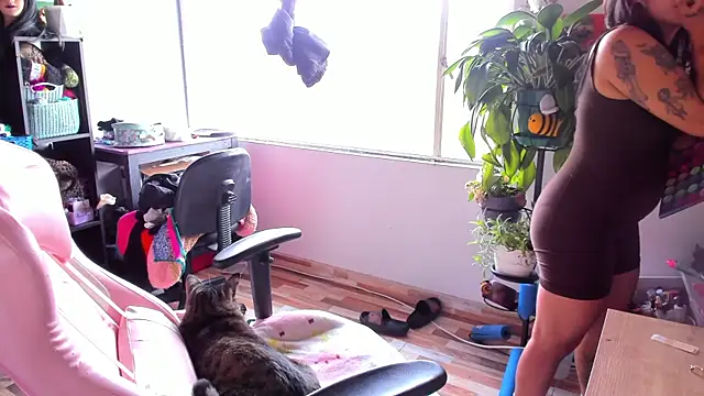 annie walker6 online show from 10, 4, 2026