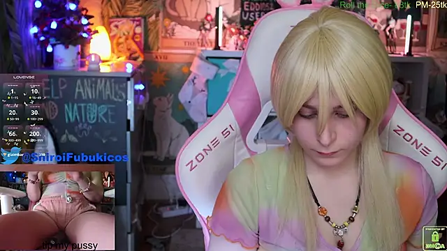 ShiroiFubuki online show from 22, 12, 2024