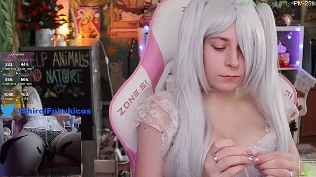ShiroiFubuki online show from 19, 12, 2024