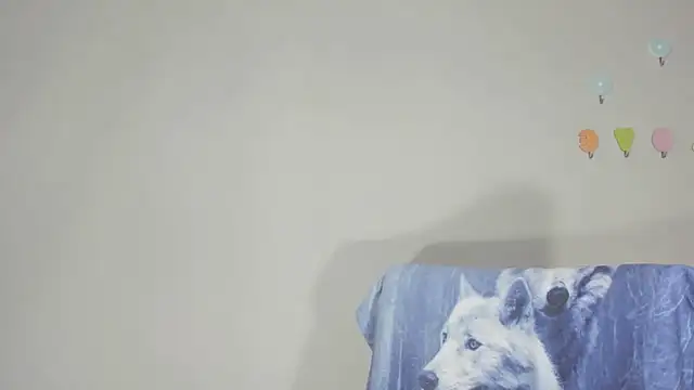 IndianBibix online show from 16, 10, 2025