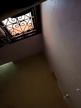 Mallu-Gayathri Arun online show from 12, 12, 2024