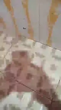 Sanjaymartin29 online show from 7, 12, 2024