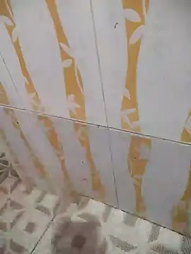 Sanjaymartin29 online show from 29, 12, 2024