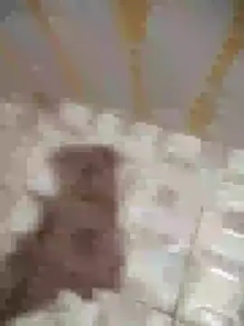 Sanjaymartin29 online show from 16, 1, 2025