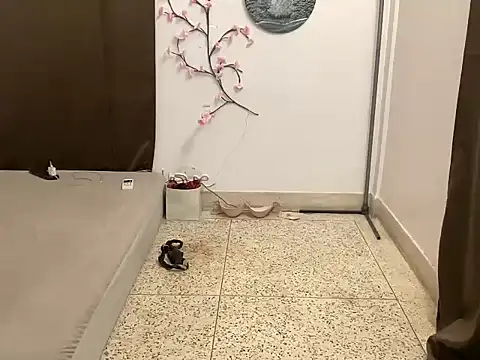 shanayaaa 1 online show from 8, 3, 2026