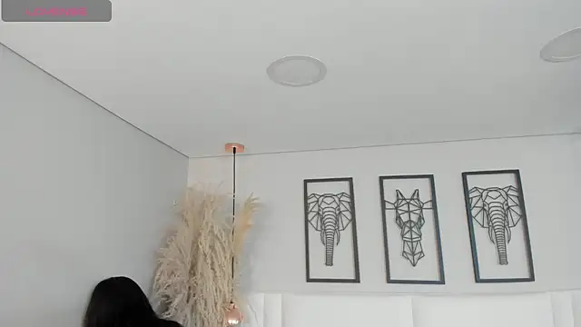 Rebeca jones online show from 29, 10, 2025