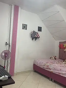 Rossestoner online show from 27, 2, 2026