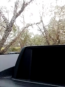 stiffandlubedxh online show from 21, 10, 2025