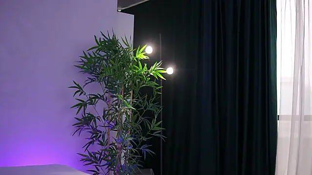 ArtTeasee online show from 2, 3, 2026