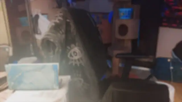 spunlikecottoncandy online show from 17, 11, 2025