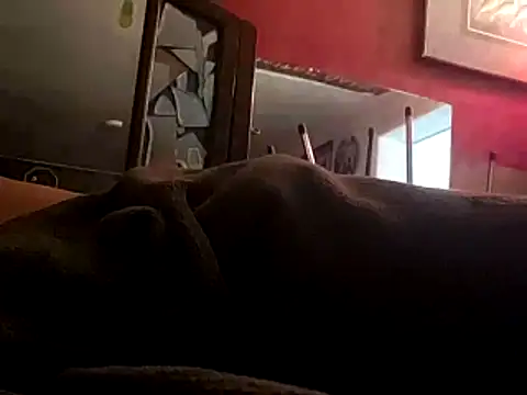 JRock69nKzoo online show from 12, 11, 2025