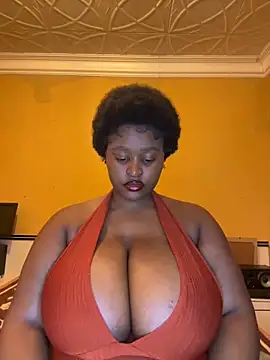 KnockoutBestie online show from 2, 12, 2025