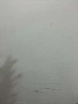 croftsmila online show from 19, 12, 2025