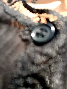 Misscata1106 online show from 22, 4, 2026