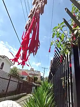 Sam Sara online show from 9, 1, 2026