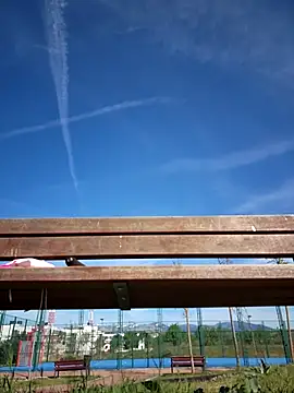 bellapaty online show from 17, 4, 2026