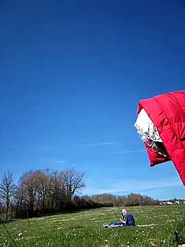 bellapaty online show from 17, 3, 2026