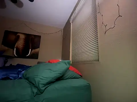 Bwcjoshbanks online show from 28, 11, 2025