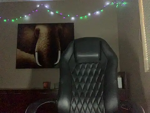 Snapshot of Bwcjoshbanks chatting on 25, 7, 2026 Bwcjoshbanks online show from 25, 7, 2026
