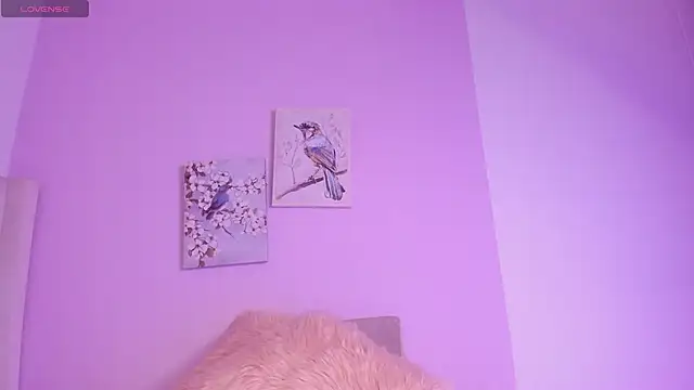 Mhia palmer online show from 12, 3, 2026