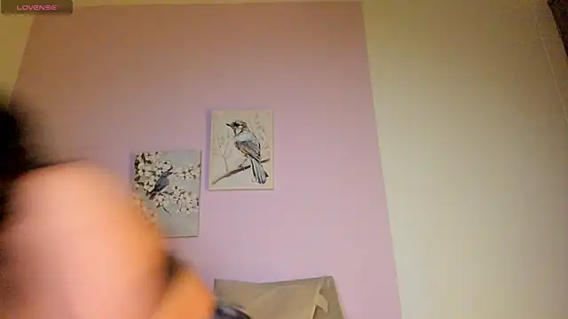 Mhia palmer online show from 1, 2, 2026