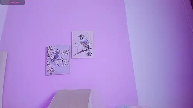 Mhia palmer online show from 15, 2, 2026