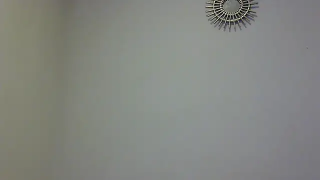 Snapshot of feline27 chatting on 11, 11, 2025 feline27 online show from 11, 11, 2025