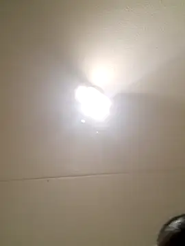 bink1982 online show from 25, 2, 2026