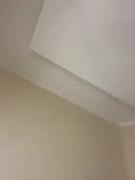 AnnGilbert online show from 9, 11, 2025