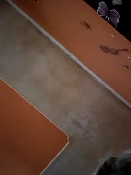 ducicsajsziii online show from 29, 11, 2025