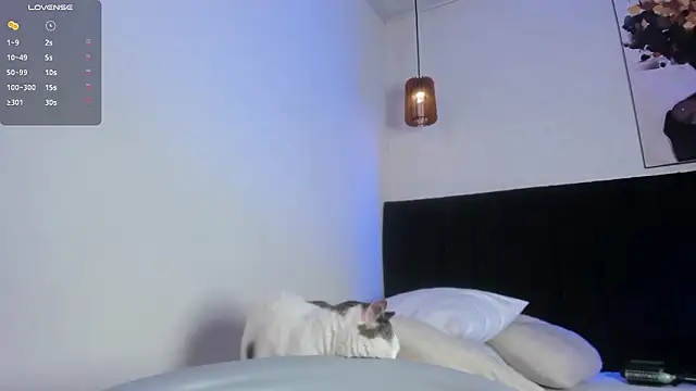 dolly zoe online show from 7, 3, 2026