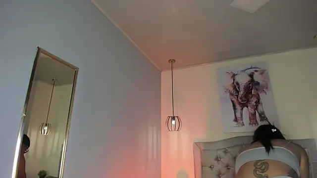 ayshel   online show from 24, 3, 2026