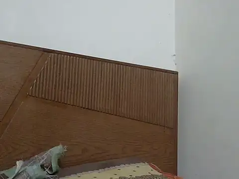 Snapshot of shekira99 chatting on 12, 11, 2025 shekira99 online show from 12, 11, 2025