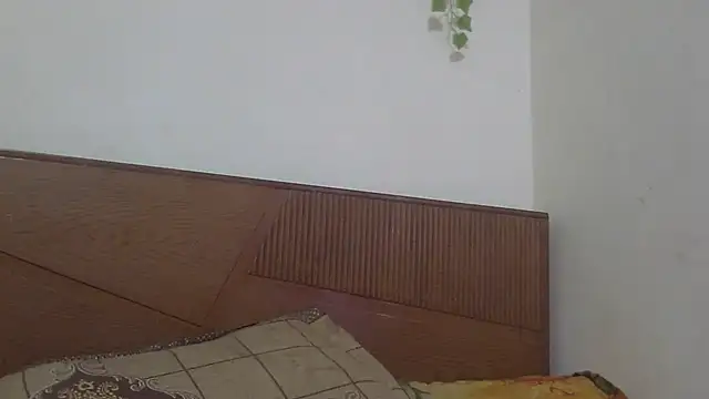 Snapshot of shekira99 chatting on 22, 7, 2026 shekira99 online show from 22, 7, 2026