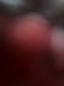 Stressreliever82 online show from 3, 4, 2026