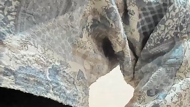 BRENDA SEXY69 online show from 7, 3, 2026