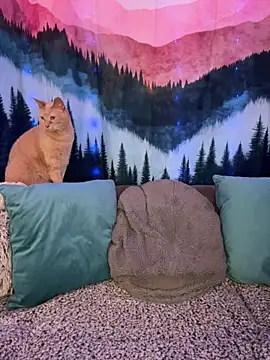 ItsDanniG online show from 10, 3, 2026