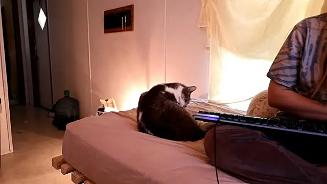 xxpixeyxx online show from 21, 4, 2026