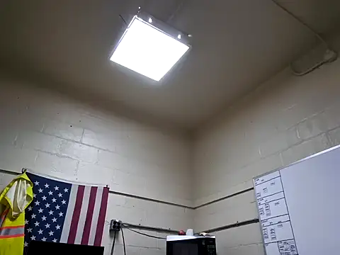 Cockrub1 online show from 9, 3, 2026