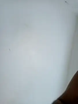 casal7722 online show from 10, 2, 2026